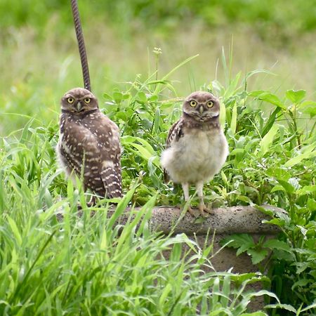 Posada Rural La Matilde ซานคาเวียร์ ภายนอก รูปภาพ