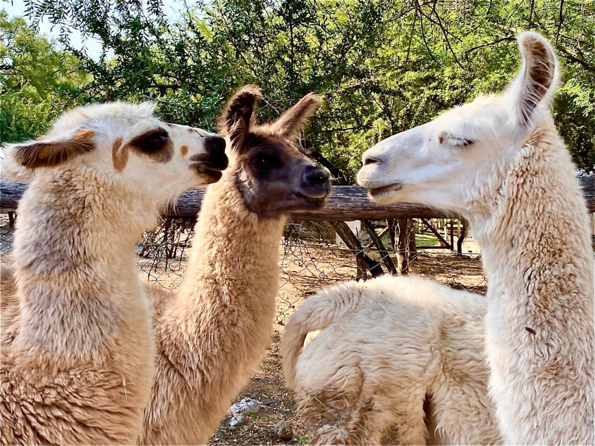 Posada Rural La Matilde ซานคาเวียร์ ภายนอก รูปภาพ